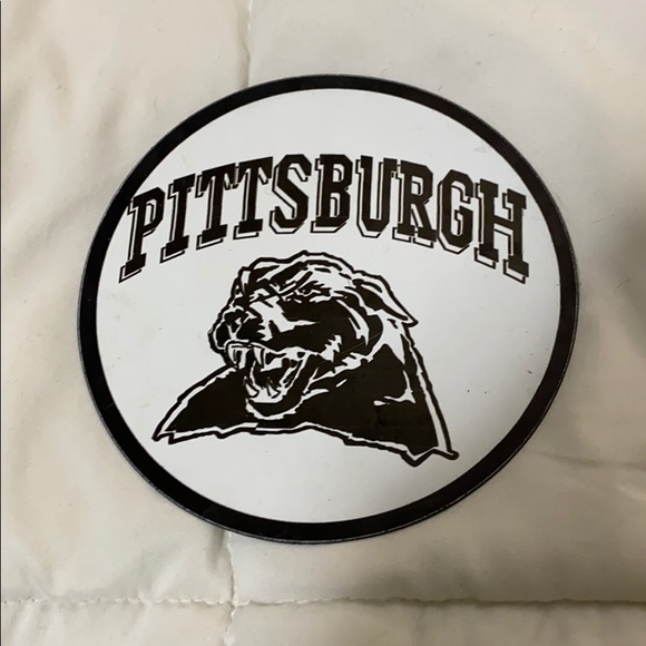 Pittsburgh panthers magnet - Picture 1 of 3